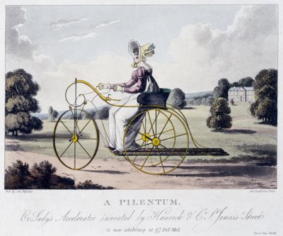 A Pilentum or Lady